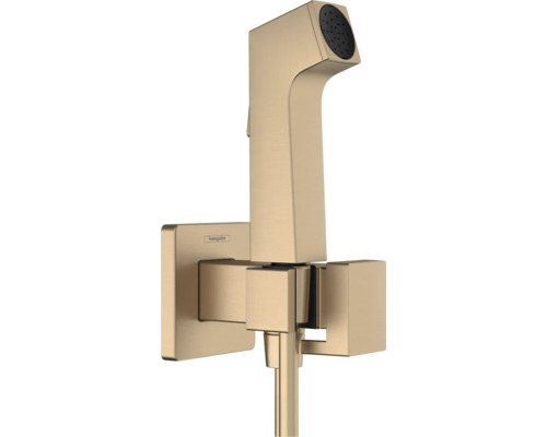 hansgrohe Bidetbrauseset Bidette 1jet E EcoSmart für Kaltwasser mit Brausehalter und Brauseschlauch 125 cm eckig brushed bronze gebürstet 29231140