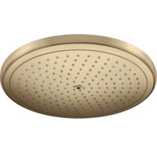 Pomme de douche ronde pour montage au plafond