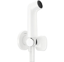 Hansgrohe Logo Handbrause Bidetbrause