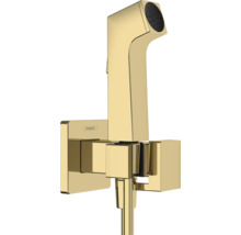 Hansgrohe Bidetbrause mit Wandhalterung