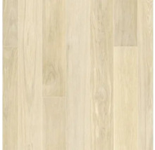 Carreaux d''intérieur aspect bois clair