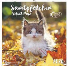 Samtpfötchen Kalender 2026 mit Katzenmotiv und Extraposter