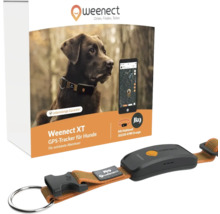 Traceur GPS Weenect XT pour chiens avec garantie à vie et collier Julius K9