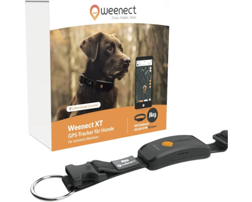Weenect XT Traceur GPS pour chiens avec garantie à vie et collier Julius-K9