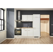 Kompakte Einbauküche mit Spüle, Herd, Dunstabzugshaube und Hängeschränken in einer modern eingerichteten Wohnung.