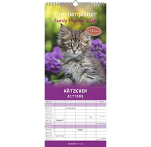 Familienplaner 2026 mit Katzenmotiv und fünf Spalten