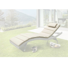 Scène de jardin avec une chaise longue avec coussins