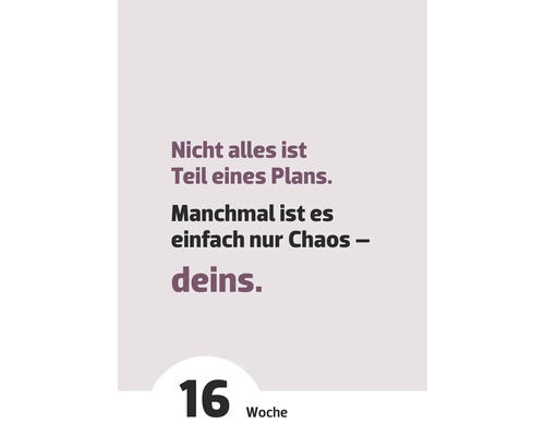 Citation : Tout ne fait pas partie d’un plan. Parfois, c’est juste le chaos, le vôtre. Semaine 16