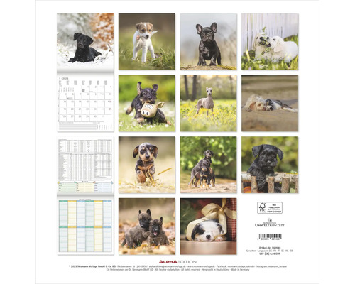 Wandkalender mit Welpenmotiven für das Jahr 2026