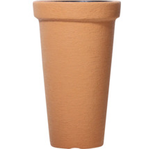 Pot de fleurs en terre cuite