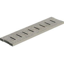 Bordure de piscine margelleFLAIRSTONE Luserna Doree évacuation/trop-plein gris 60 cm x 15 cm x 2 cm