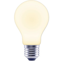 Ampoule avec culot E27