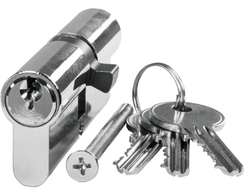 Profilzylinder mit Schraube und Schlüssel