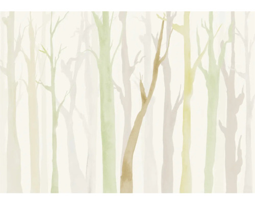 Illustration d''une forêt avec des arbres