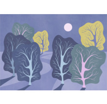 Illustration d''une scène de forêt nocturne avec des arbres et la lune
