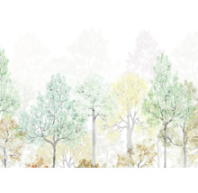 Papier peint avec motif de forêt et différentes essences d''arbres