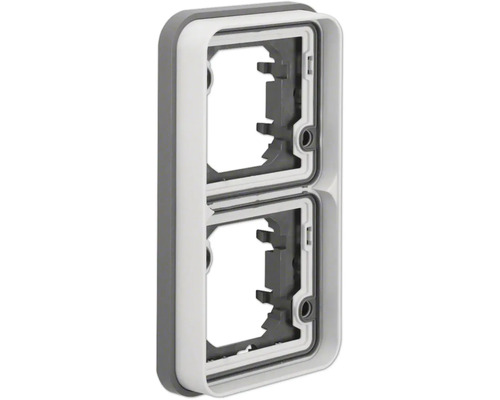 Plaque double verticale Berker 4711593 pour montage en saillie avec joint W.1 gris Cadre double pour interrupteurs et prises