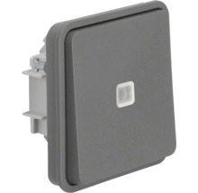 Berker 4711641 Kontroll-Wechselschalter mit Wippe W.1 grau