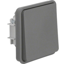 Berker 4711716 Wechselschalter mit Wippe W.1 grau