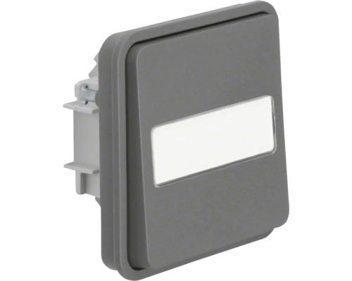 Interrupteur va-et-vient Berker 4711645 avec bascule et champ de marquage eclairé W.1 gris Insert d''interrupteur d''éclairage gris avec champ d''inscription