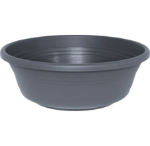 Graue Pflanzschale aus Kunststoff