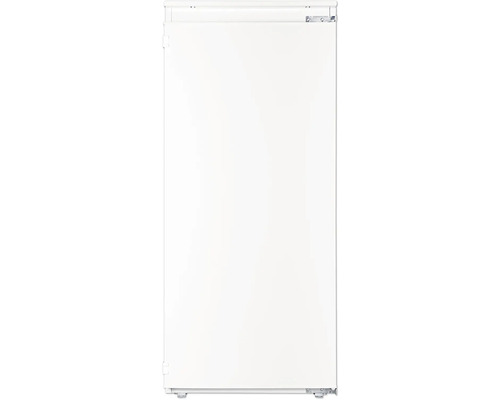 Porte de réfrigérateur blanche pour installation