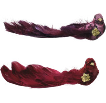 Zwei dekorative Vögel mit Federn