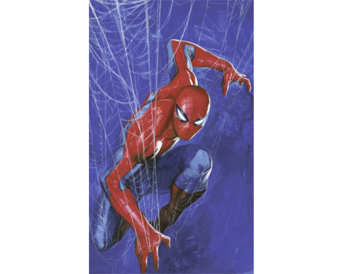 Papier peint panoramique intissé DX3-210 Marvel Spider-Man Spider Web 3 pces 250 x 150 cm Illustration de Spider-Man devant une toile d''araignée