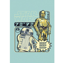 Illustration Star Wars avec C-3PO et R2-D2