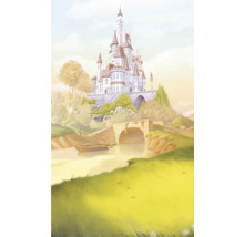 Illustration d''un château sur une colline avec une rivière et un pont