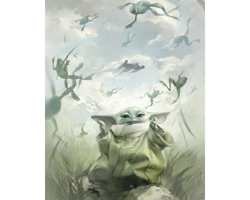 Gemälde von Grogu und Fröschen