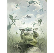 Gemälde von Baby Yoda mit Fröschen, die im Himmel schwimmen