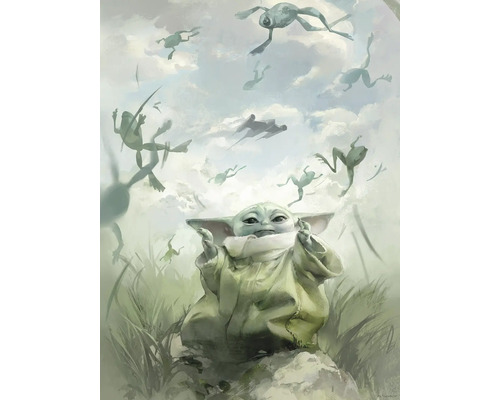 Gemälde von Baby Yoda mit Fröschen, die im Himmel schwimmen