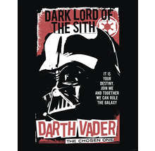 Darth Vader Plakat mit dem Schriftzug Dunkler Lord der Sith