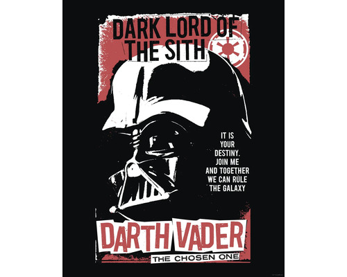 Poster Star Wars Darth Vader The Chosen One 40x50 cm Darth Vader Plakat mit dem Schriftzug Dunkler Lord der Sith