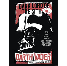 Darth Vader Star Wars Poster mit dem Text Dunkler Lord der Sith