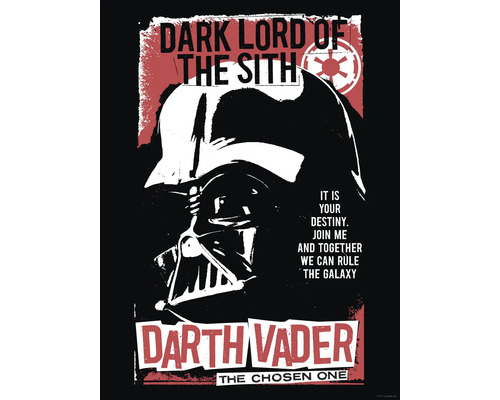 Darth Vader Star Wars Poster mit dem Text Dunkler Lord der Sith