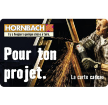 Carte cadeau HORNBACH avec différents motifs au choix (envoi par mail)-thumb-1