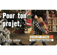 Carte cadeau HORNBACH avec différents motifs au choix (envoi par mail)-thumb-4
