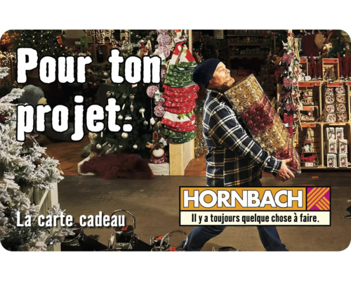 Un homme transporte des décorations dans le magasin de bricolage Hornbach pour un projet.