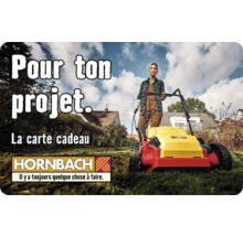 Carte cadeau HORNBACH avec différents motifs au choix (envoi par mail)-thumb-11