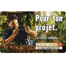 Carte cadeau HORNBACH avec différents motifs au choix (envoi par mail)-thumb-7
