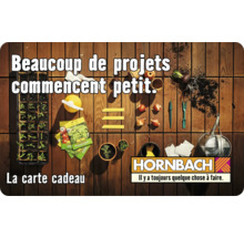 Carte cadeau HORNBACH avec différents motifs au choix (envoi par mail)-thumb-8