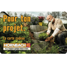 Carte cadeau HORNBACH avec différents motifs au choix (envoi par mail)-thumb-13