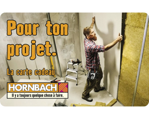Homme fixant des plaques de plâtre avec isolation. Logo Hornbach