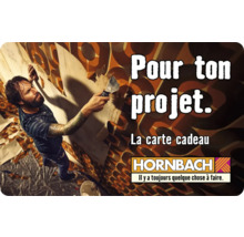 Carte cadeau HORNBACH avec différents motifs au choix (envoi par mail)-thumb-16