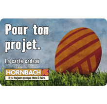 Carte cadeau HORNBACH avec différents motifs au choix (envoi par mail)-thumb-19