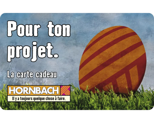 Carte cadeau Hornbach pour votre projet
