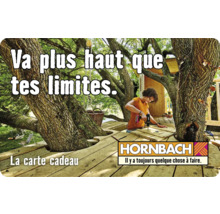 Carte cadeau HORNBACH avec différents motifs au choix (envoi par mail)-thumb-27
