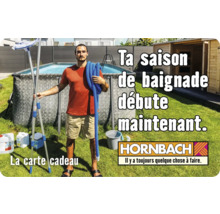 Carte cadeau HORNBACH avec différents motifs au choix (envoi par mail)-thumb-28